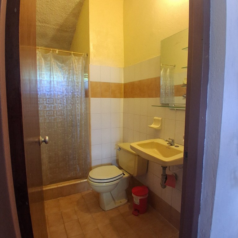20260204 083119 768x768