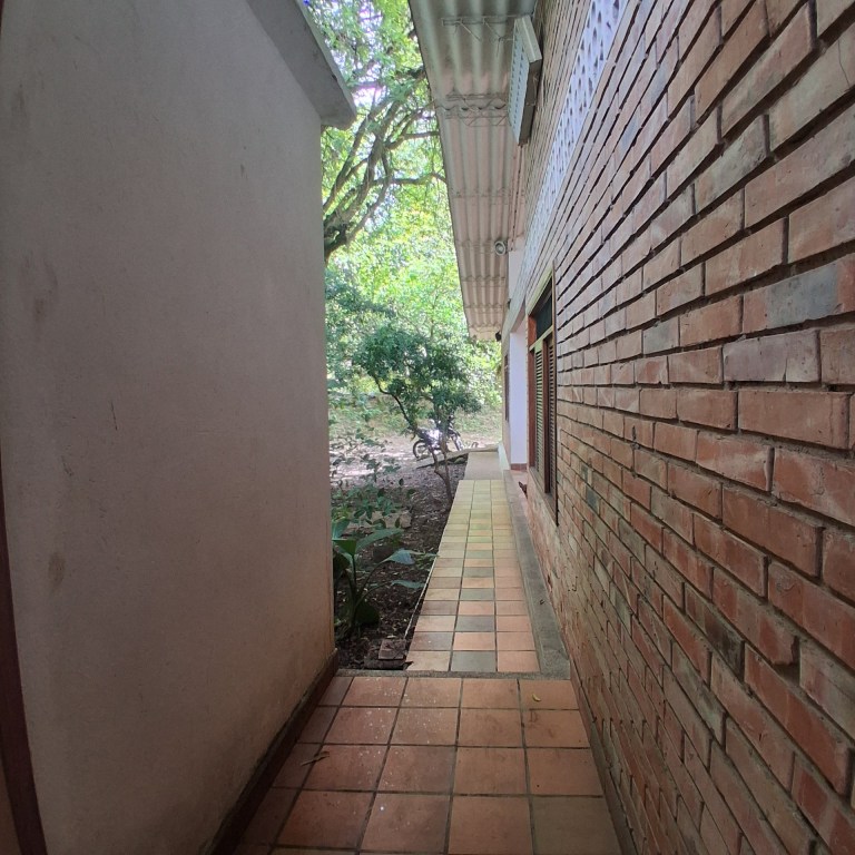 20260225 100404 768x768